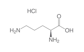 Best L-Ornithine Alternatives for Sleeping