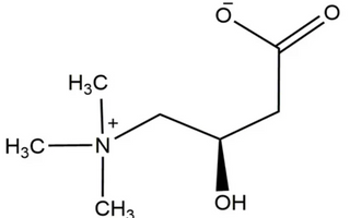 Best Acetyl-L-Carnitine Alternatives for Sleeping