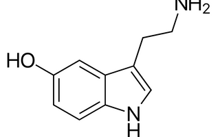 Best Serotonin Precursors Alternatives for Sleeping