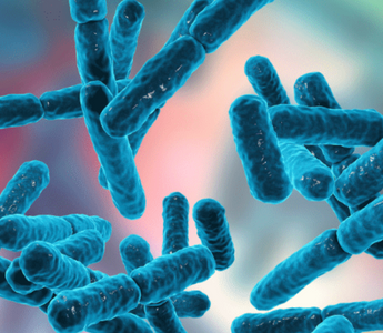 Best Time to Take Probiotics: What Science Says - Pulsetto