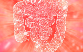 Top 10 Proven Benefits of Probiotics for Gut and Overall Health - Pulsetto