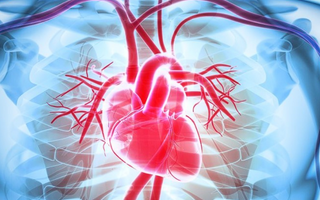 Connection Between Relaxation and Heart Health