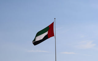 Best Vagus Nerve Stimulation Devices in Kuwait - Pulsetto