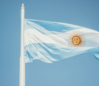 Best Vagus Nerve Stimulation Devices in Argentina - pulsetto