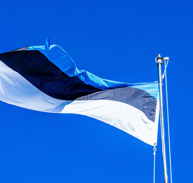 Best Vagus Nerve Stimulation Devices in Estonia - Pulsetto