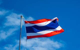 Best Vagus Nerve Stimulation Devices in Thailand - Pulsetto