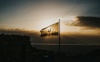 Best Vagus Nerve Stimulation Devices in Israel - Pulsetto