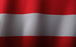 Best Vagus Nerve Stimulation Devices in Austria - Pulsetto