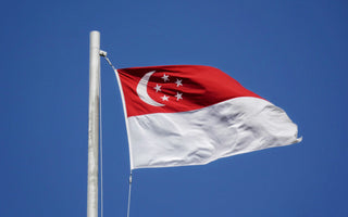 Best Vagus Nerve Stimulation Devices in Singapore - Pulsetto