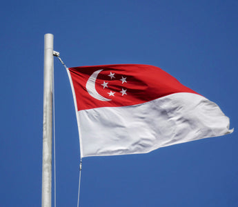 Best Vagus Nerve Stimulation Devices in Singapore - Pulsetto