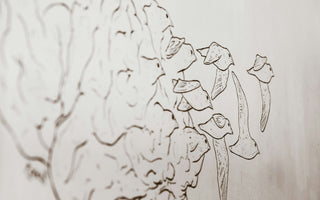 Biohacking for Cognitive Performance: Boosting Brain Function with Nootropics and Smart Drugs