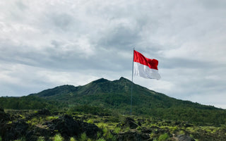 Best Vagus Nerve Stimulation Devices in Indonesia - Pulsetto