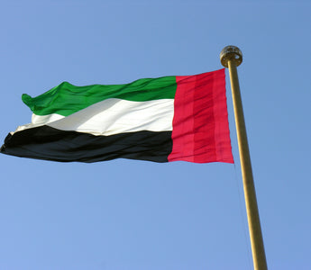 Best Vagus Nerve Stimulation Devices in the United Arab Emirates - Pulsetto