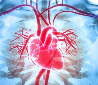 Connection Between Relaxation and Heart Health