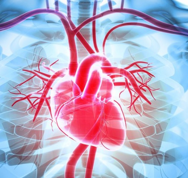Connection Between Relaxation and Heart Health