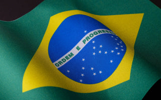 Best Vagus Nerve Stimulation Devices in Brazil - Pulsetto