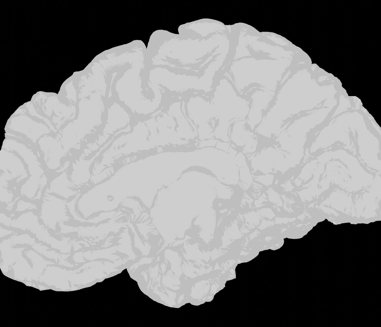 How Nerve Stimulation Therapy Retrains Your Nervous System – Pulsetto EU