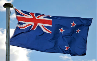 Best Vagus Nerve Stimulation Devices in New Zealand - Pulsetto