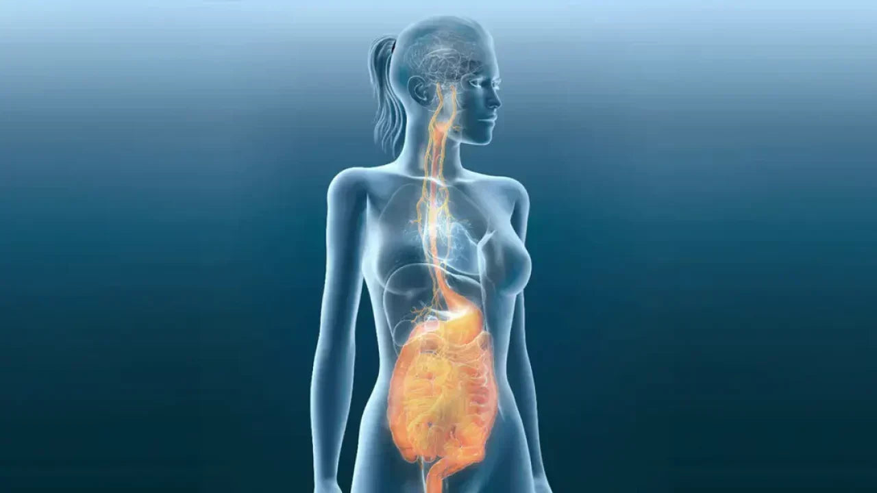 Pulsetto for gut problems